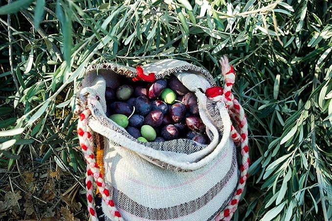 Kouzini Organic Greek Extra Virgin Olive Oil | First Cold Pressed | 1 Liter (34 fl oz) Current Harvest | NYIOOC award Winner | Single Origin | Family Owned