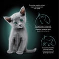 thumbnail image 3 of Sheba Perfect Portions Kitten Salmon Pate Entree Wet Cat Food, 2.6 Oz Twin-Pack Tray (Pack of 6), 3 of 6