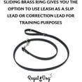 thumbnail image 5 of Regal Dog Products Waterproof Leash – 5 ft. Black Dog Leash with Easy to Use Collar Hook, Lightweight, and Proof Training Pet Lead with Vinyl-Coated Webbing for Small, Medium, Large, or XL Dogs, 5 of 9
