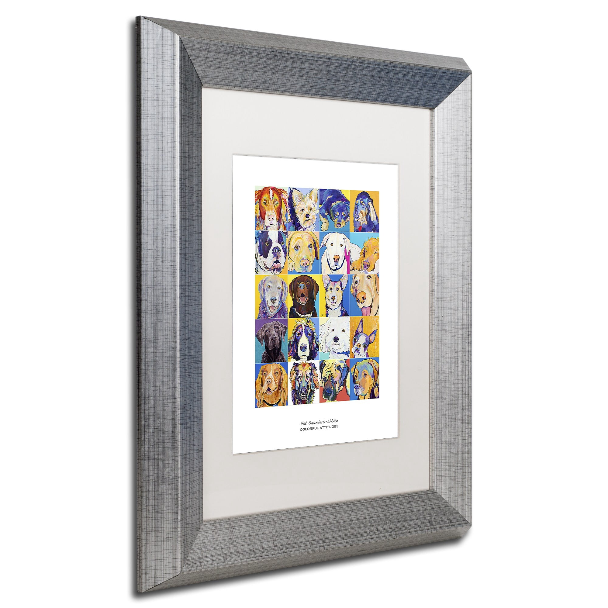 Trademark Fine Art "Colorful Attitudes Poster" Canvas Art by Pat Saunders-White, White Matte, Silver Frame