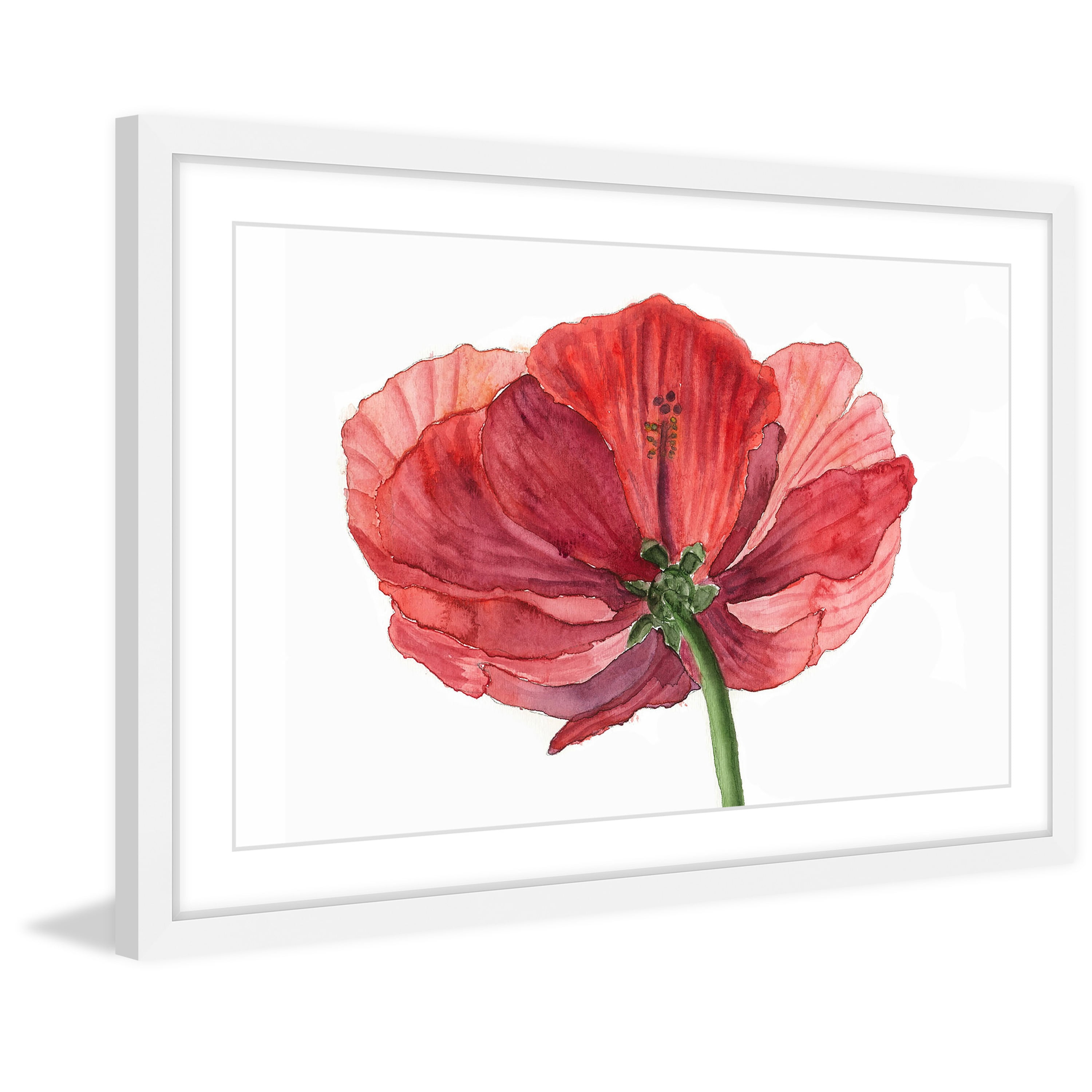 "Hibiscus Flower" Framed Painting Print