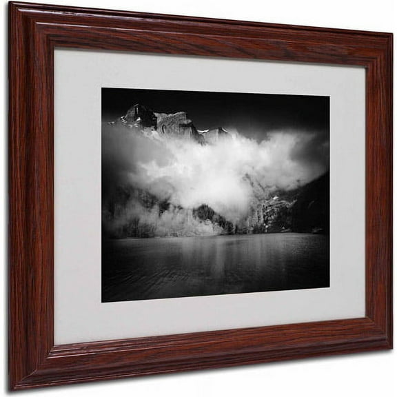 Trademark Fine Art "Black Beauty" Canvas Art by Philippe Sainte-Laudy, Wood Frame