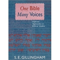 One Bible, Many Voices: Different Approaches To Biblical Studies, (Paperback)