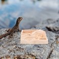 thumbnail image 2 of EeaseCA Bol de Nourriture pour Tortue Distributeur de Nourriture Multifonction Design Imitation Roches Mangeoire pour Reptiles, 2 of 8