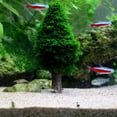 thumbnail image 5 of 2Sets Aquarium Moss Decoration, Grow Your Own Mini Christmas Tree Plant, Fish Tank Decoration, Grow Aquatic Plants, Moss and Other Plants, Moss or Plants not Included, 5 of 6