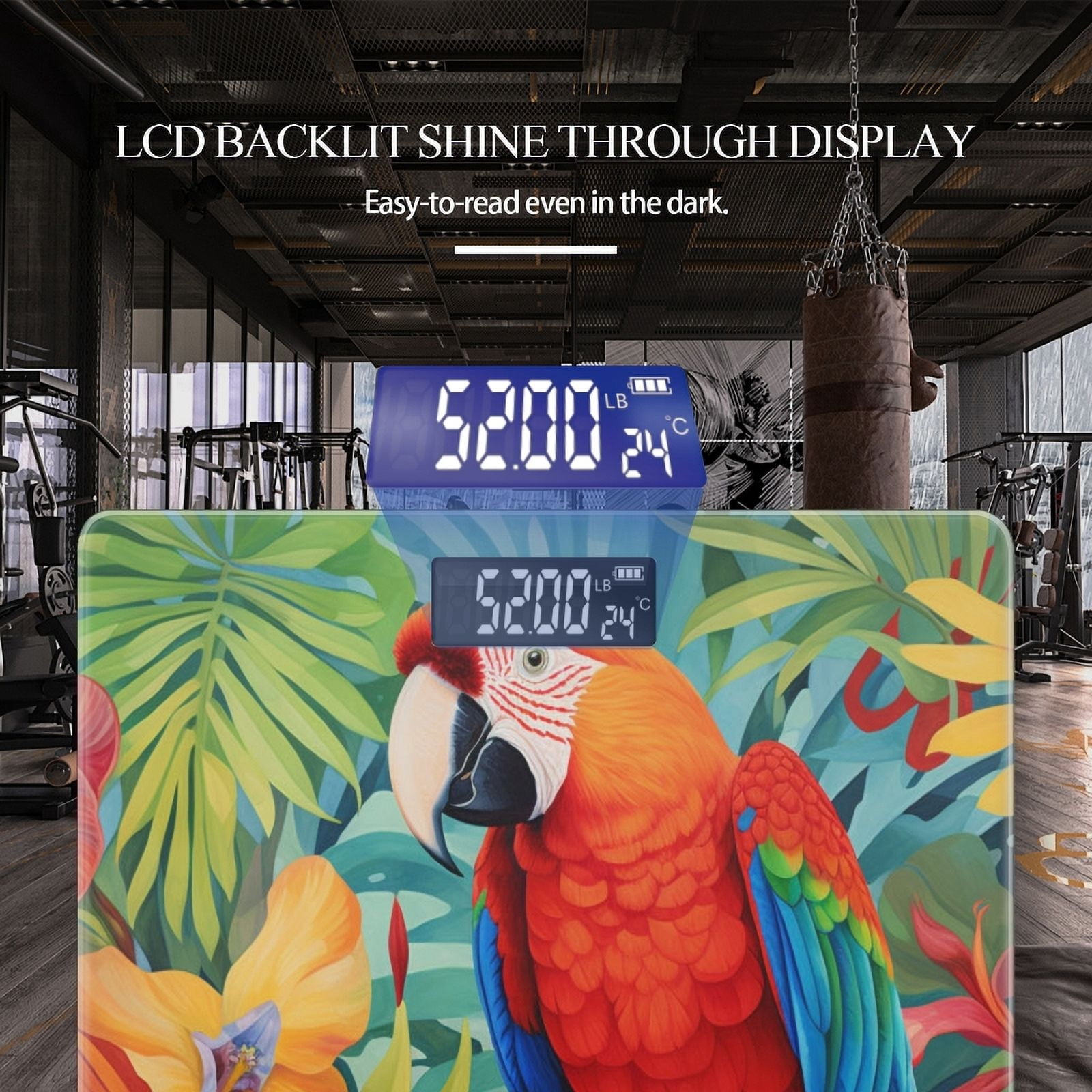 High Precision Body Weight Scale Smart Bathroom Scales with Large LCD Display(400lbs),Decorative for Bedroom-Macaw Parrot Perched On A Branch