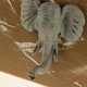 thumbnail image 5 of s para para proteger de Montaje en Pared, s para para proteger de para para proteger s para Sombrero Zulema gancho de la llave del sombrero de la capa del elefante, 5 of 8