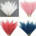 thumbnail image 4 of 20PCS Artificial Pampas Grass Decor – 21.65" Fluffy Bohemian Reed Stems for Wedding, Home, Vase Arrangement (Hypoallergenic, No Shedding), 4 of 5