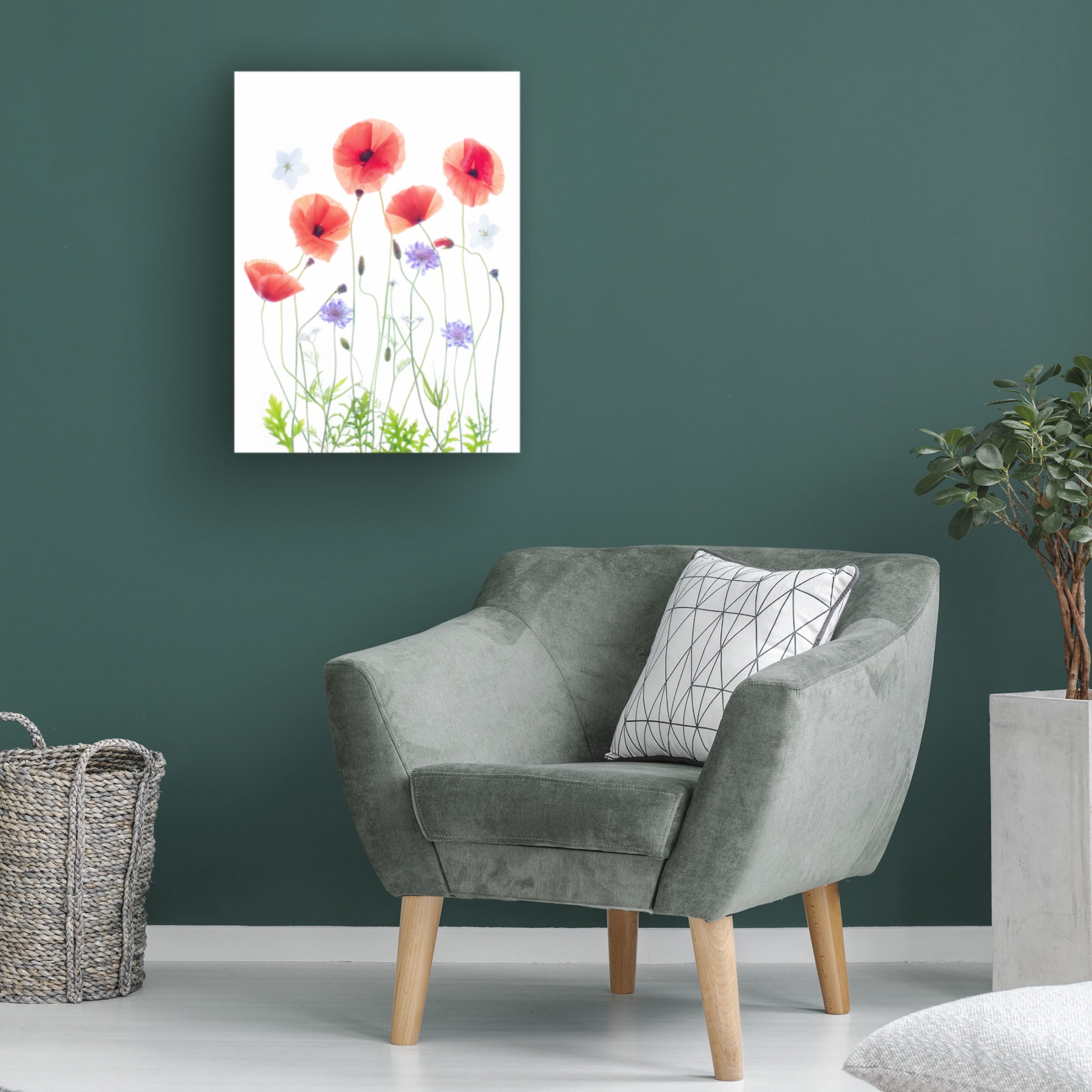 Canvas Wall Art - Sharon Williams 'Poppy Garden' Wall Art for Living Room, Bedroom, or Office Décor by Trademark Fine Art - 14 x 19 Inches