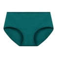 thumbnail image 1 of Neewe Women's Plain Underwear Ladies Brief Seamless Panties Moisture Wicking Stretchy Full Coverage, 1 of 2