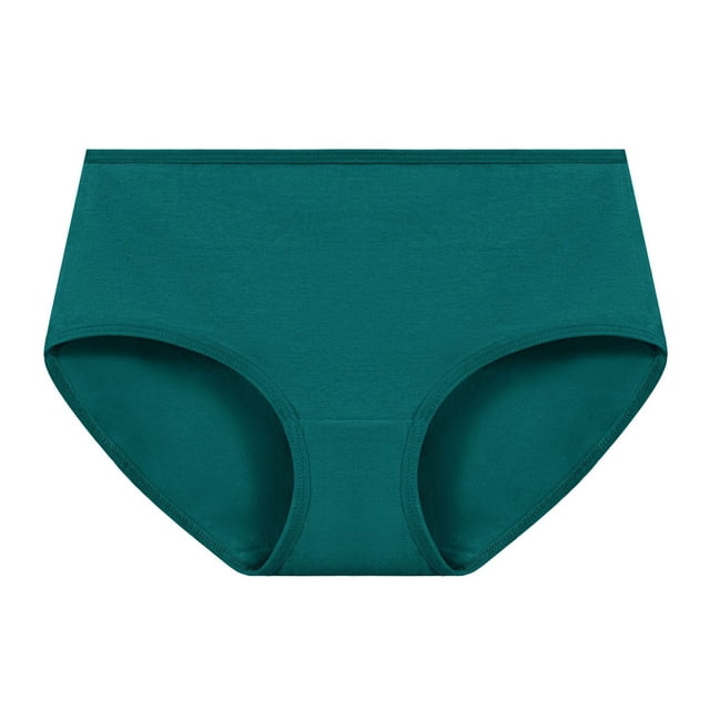 Neewe Women's Plain Underwear Ladies Brief Seamless Panties Moisture Wicking Stretchy Full Coverage