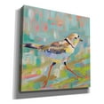 thumbnail image 2 of Epic Graffiti 'Coastal Plover I' by Jeanette Vertentes, Canvas Wall Art, 18"x18", 2 of 2