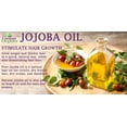 thumbnail image 4 of Aceite de jojoba Dr. Joe Lab 100% puro, orgánico, prensado en frío, 946 ml, 4 of 8
