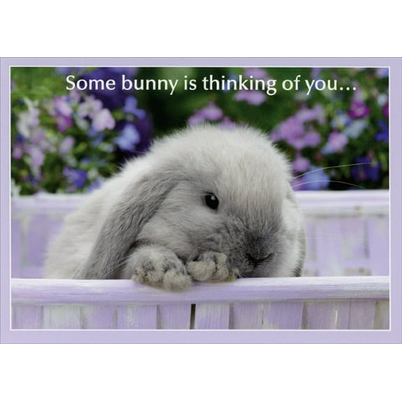 RSVP Some Bunny is Thinking of You Cute Rabbit Easter Card