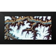 thumbnail image 2 of Ludwig, Alicia 14x9 Black Modern Framed Museum Art Print Titled - Himalayas II, 2 of 5