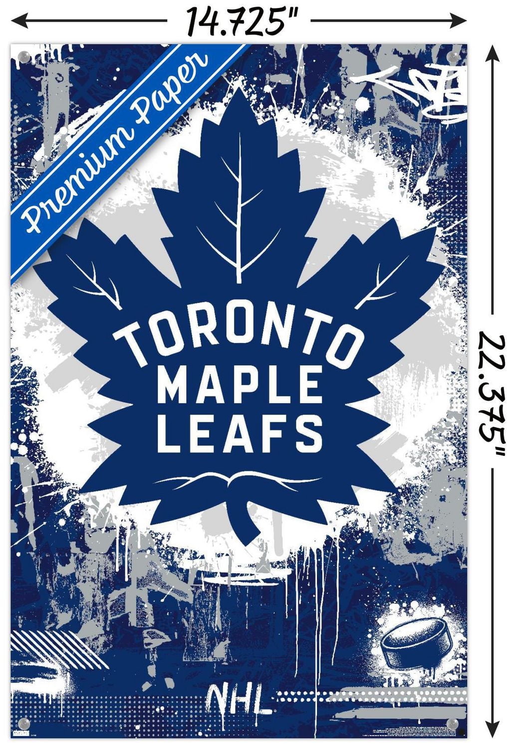 Maple Leafs de Toronto de la LNH