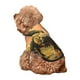 thumbnail image 5 of Balery Realistic Style Forest Dinosaur Sudadera con Capucha para Perros Pequeños – Ropa para Mascotas, Disfraz para Perros y Gatos, Ideal para Fiestas y Cosplay-X-Small, 5 of 7