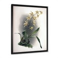 thumbnail image 2 of Designart 'Ancient Orchid Flower' Traditional Framed Art Print, 2 of 4