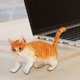 thumbnail image 1 of Gwong Juguete Simulación Mini gato Modelo de animal Decoración del hogar Accesorio para niños Juguete Estatua Regalo Gwong 30007808, 1 of 7