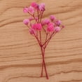 thumbnail image 4 of segolike Assortiment de Fleurs Séchées Pressées Naturelles pour Bricolage et Bijoux Multi, 4 of 9