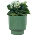 thumbnail image 4 of Mainstays 6in Petra Small Ceramic Green Planter, 4 of 6