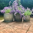 thumbnail image 5 of French Country Style Belly Bucket Planters, Set of 3, Galvanized Metal , Corrugated Cache Pots, Rustic Wash Basin, From Over 1 Ft Diameter (17 - 12 Inches), 5 of 7