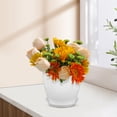 thumbnail image 6 of 5 Sets Swirl Pattern Small Flowerpot Pots Orchid Flowers Holder Nursery Decorative Garden, 6 of 6