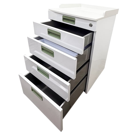 4-Drawer Dental Mobile Storage Cabinet White Green Multi-functional