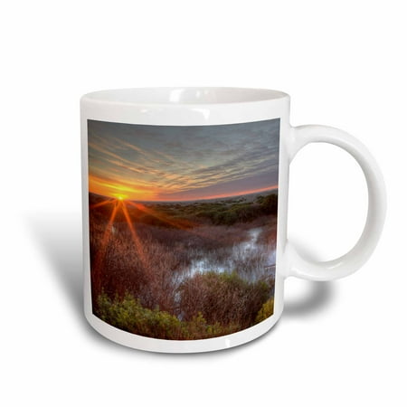 

3dRose Wetlands at Ocean Shores Washington USA - US48 TNO0021 - Tom Norring - Ceramic Mug 15-ounce