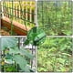 thumbnail image 3 of Ratán De Plástico Conector De Plástico Cruzado Hebilla De Plástico De Ratán De Flores Para Huerto De Jardín Yuarrent HA043487-02, 3 of 6