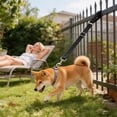 thumbnail image 2 of Short Dog Leash for Small Medium Dogs, Heavy Duty Training Lead with Traffic Handle, Nylon Rope for Close Control Walking, Durable Tangle Free Pet Tether for Safety Obedience 14Inch, 2 of 4