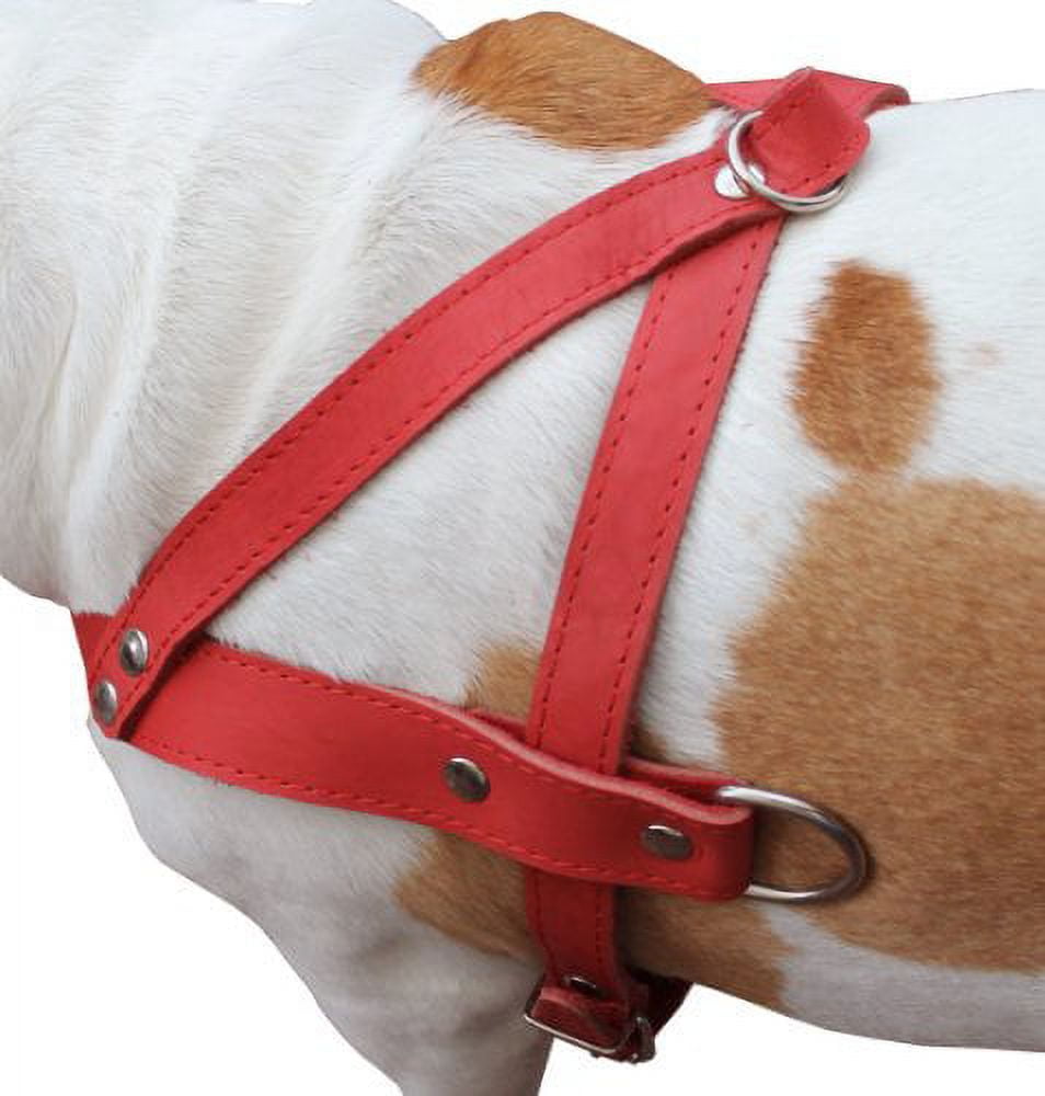 High Quality Leather Dog Pulling Walking Harness . 31"-35" Chest, 1.5" Wide Straps. Pitt Bull, Rottweiler