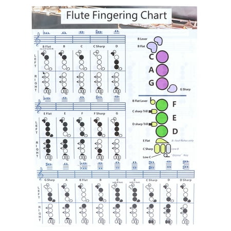 Flute Fingering Chord Chart, Flute Chord Chart With Coated Paper For ...