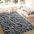 thumbnail image 3 of Janvonne 5x7 Fluffy Area Rug for Living Room Bedroom, Modern Shaggy Carpets Fuzzy Rug for Teens Dorm Bedside Home Decor Aesthetic, Heavy Duty Non Slip, Zebra Print, 3 of 8