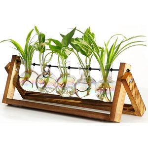 Plant Terrarium with Wooden Stand Desk Plant 5 Bulb Vase