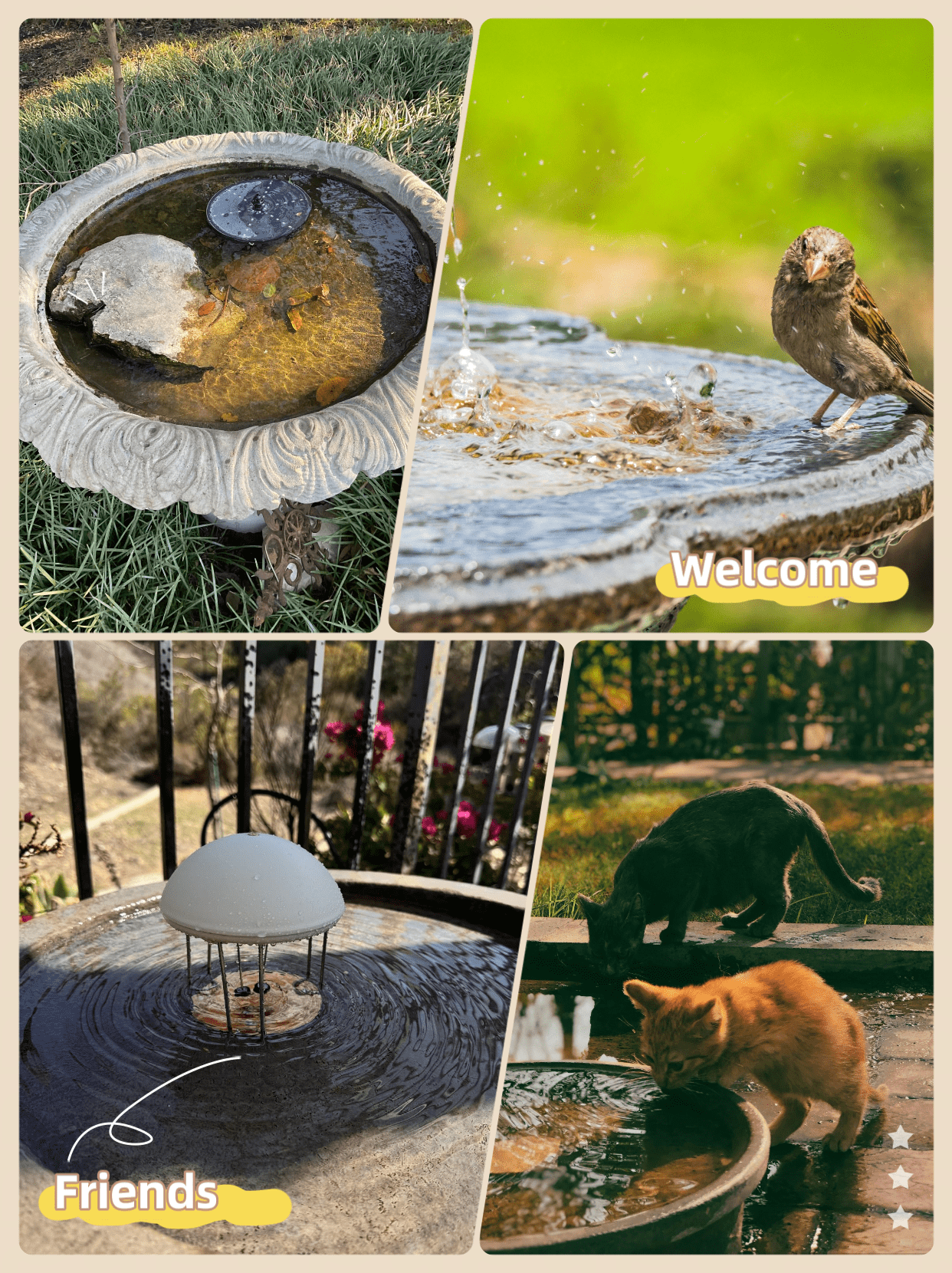 Nyhpar 4Pcs Bird Bath Copper Disk,99.99% Pure Copper Bird Bath Purification Disk,Universal Fit for Outdoor Ceramic/Concrete/Stone Bowl