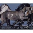 thumbnail image 1 of EQUUS HARRY N. ABRAMS Pasta Dura, 1 of 2