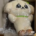 thumbnail image 3 of Kpop Ive Cherive muñecos de peluche Minive Ganganji Dal-e Rei Naori Cherry Liz Cheez Erang-e Kpop Ive figura de Anime Wonyoung Yujin Gaeul, 3 of 5
