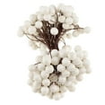 thumbnail image 1 of 40 Cabezas de Bayas de Acebo Artificiales, , Boda, de Flores de Navidad, 13 Cm, 20 / 100 Piezas para Decoración de Blanco, 1 of 7