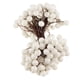 thumbnail image 1 of Mini 100 Unids 40 Cabezas Artificiales Bayas para Hogar Pub Bouquet de Árbol de Navidad Blanco, 1 of 7