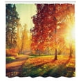 thumbnail image 3 of Ambesonne Fall Shower Curtain, Misty Day in the Forest, 69"Wx75"L, Orange Yellow Green, 3 of 3