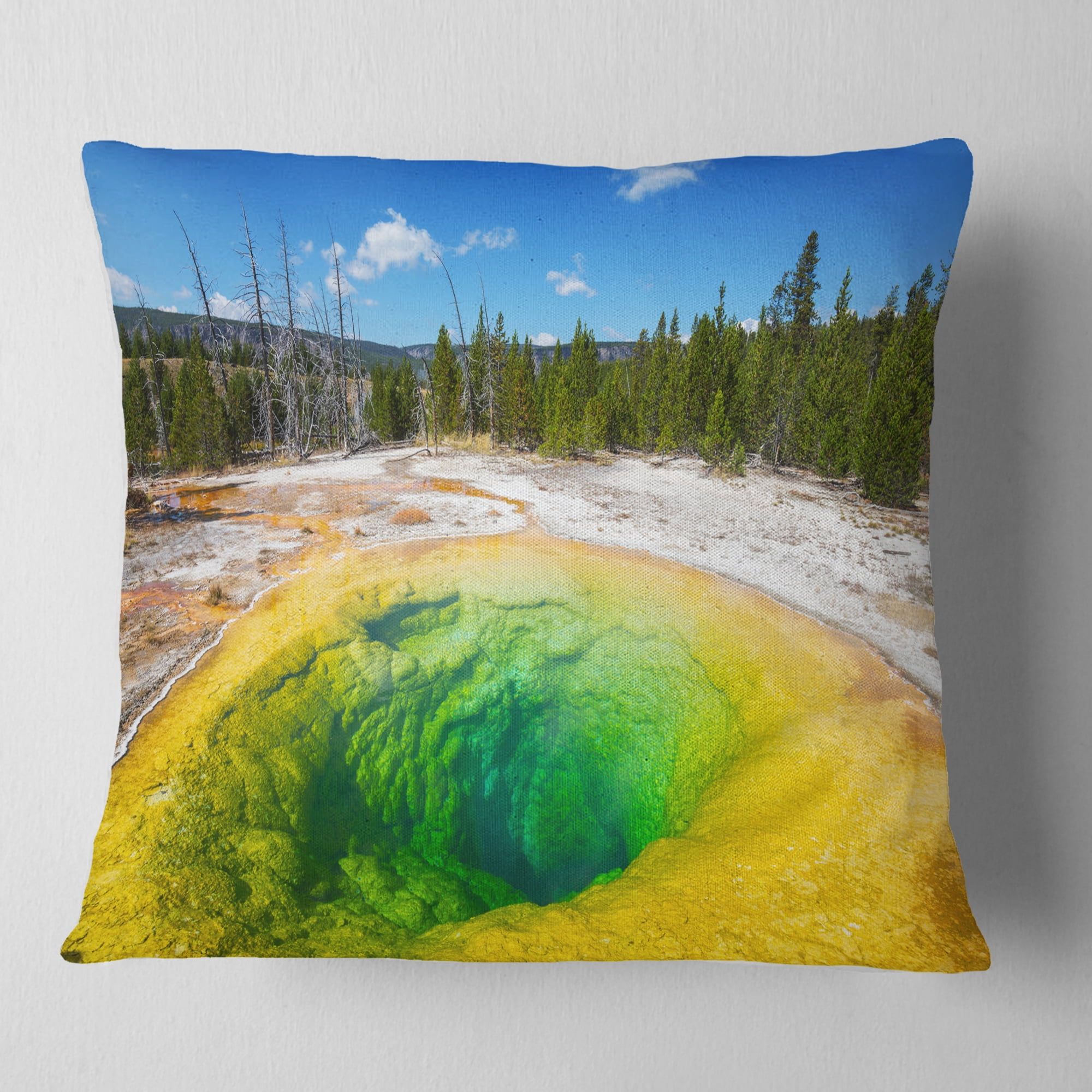 Designart Morning Glory Pool Close up - Landscape Photography Throw Pillow - 16x16