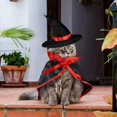 thumbnail image 5 of Halloween Pet Costume Set, Include Pet Cape Vampire Costume, 5 of 5