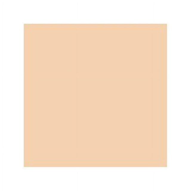 Chartpak AP138 Marqueur Artistique Sable Clair