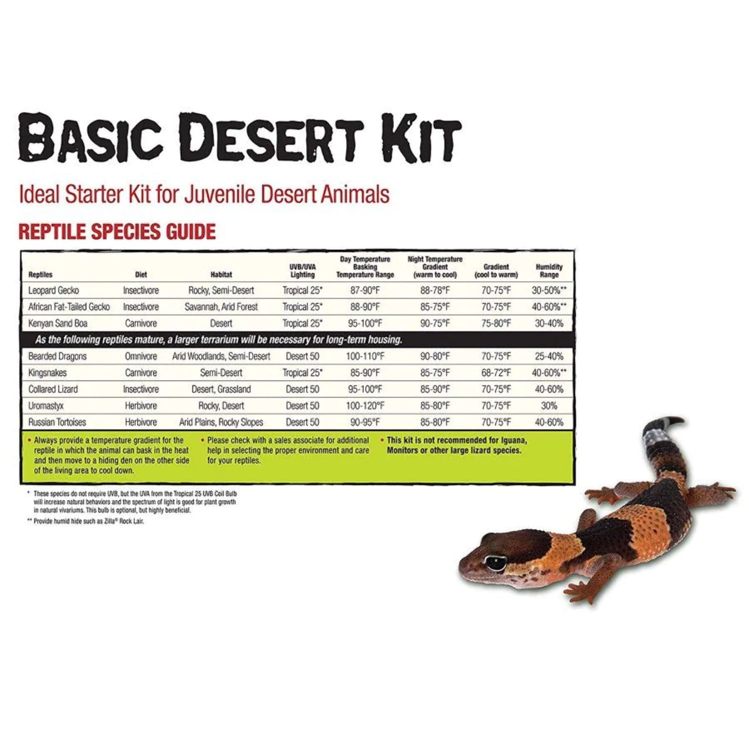 Zilla Desert Reptile Terrarium Starter Kit