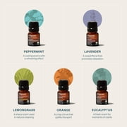 Cliganic Organic Essential Oils Set (Top 5 x 15ml) - 100% Pure Natural - Aromatherapy, Candle Making - Peppermint, Lavender, Eucalyptus, Lemongrass & Orange