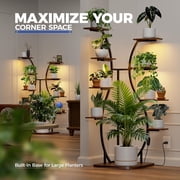 Barrina LS12 Corner Plant Stand with Grow Light 62.2 Tall 9-Tier Plant Shelf for Large Plant Warm Full Spectrum T5 Grow Lights S-Shape Corner Flower Holder for Living Room Home Decor Gardening