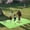 Green, variant on Specollect Clearance 1Pcs Outdoor Rugs for Patios Clearance Waterproof, Reversible Tropical Plastic Straw Camping Mat Outside Rug, Outdoor Area Rug for RV, Porch, Deck, Balcony, Picnic 210*200cm