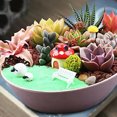 thumbnail image 4 of Coofit Plant Pot Creative Simple Fashion Succulent Pot Flower Planter Succulent Planter, 4 of 6