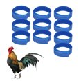 thumbnail image 4 of Noise Free Chicken Collars, Soft Rooster Collars Nylon Adjustable Safe  for Preventing Chickens From Screaming Blue,Green,Yellow, 4 of 8